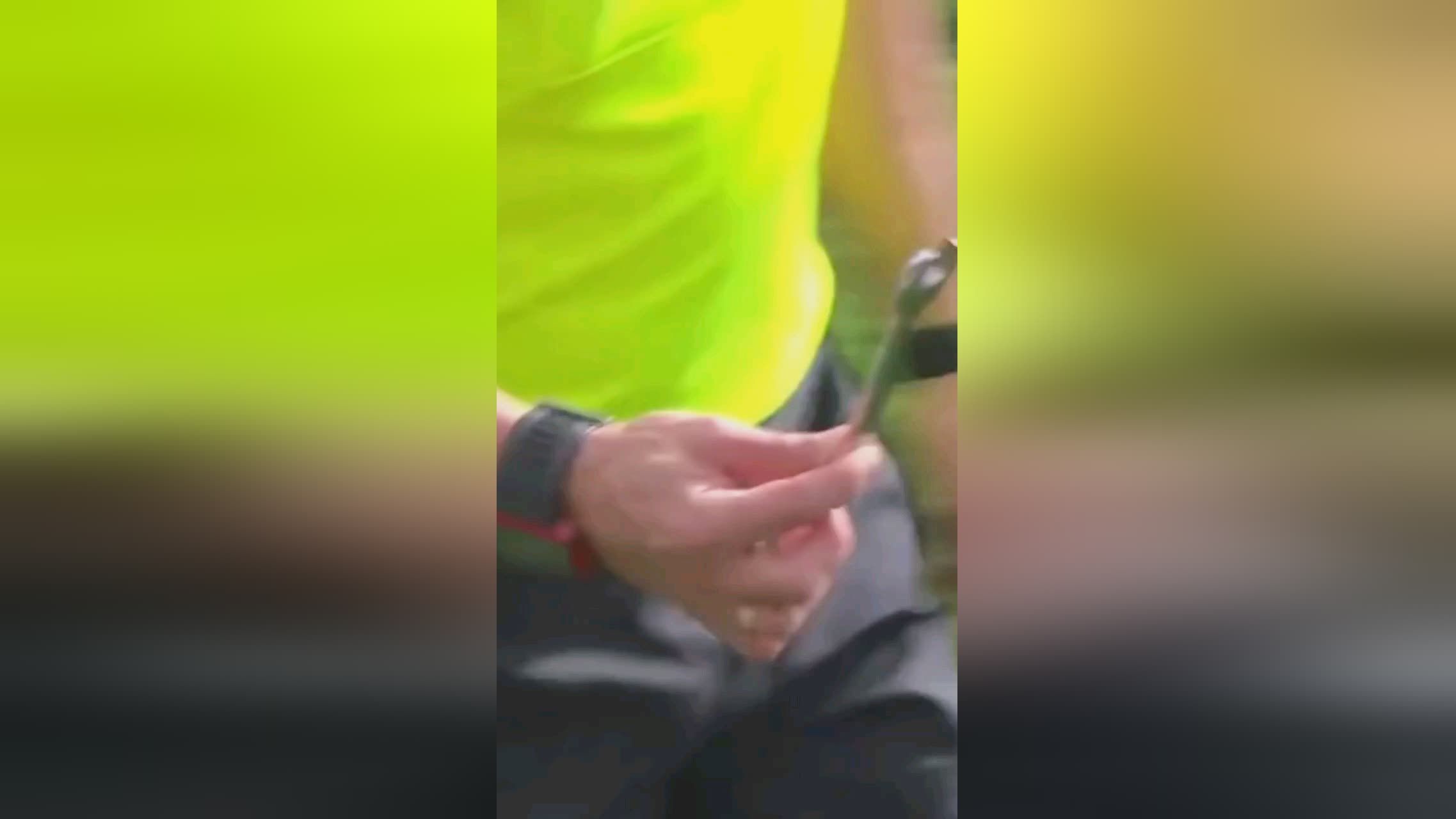 定下